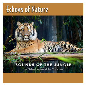 另类人妖变态调教
